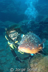 The grouper "Socks" with Maryfer. by Jorge Sorial 